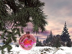 December Foretold